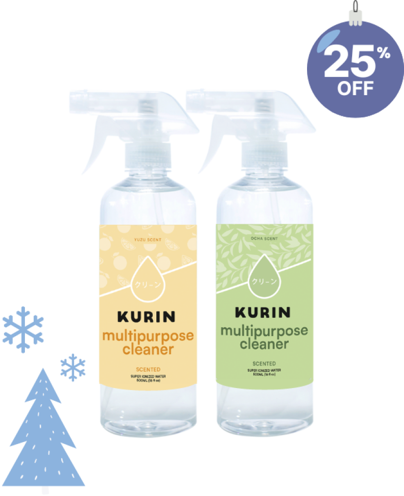 Holiday Scented Duo